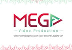 MEG